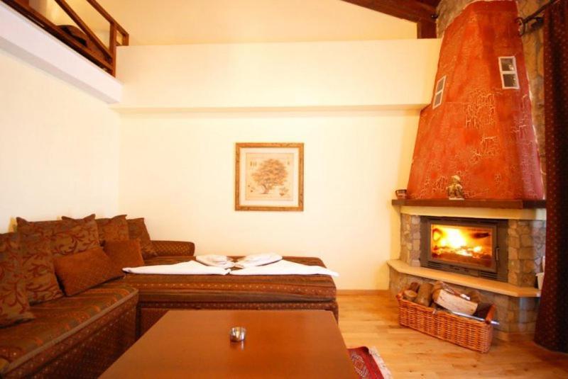 Vasilitsa Spa Resort Grevena Ruang foto