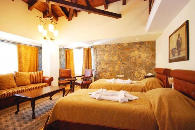 Vasilitsa Spa Resort Grevena Ruang foto