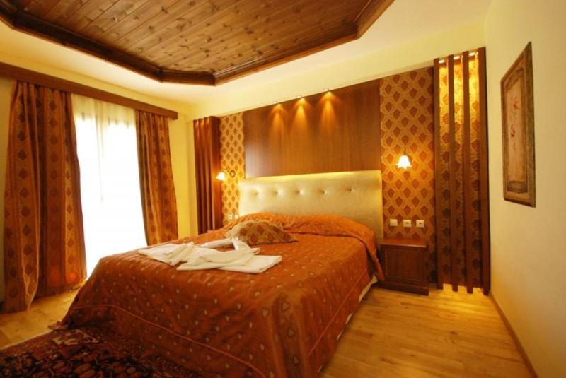 Vasilitsa Spa Resort Grevena Ruang foto
