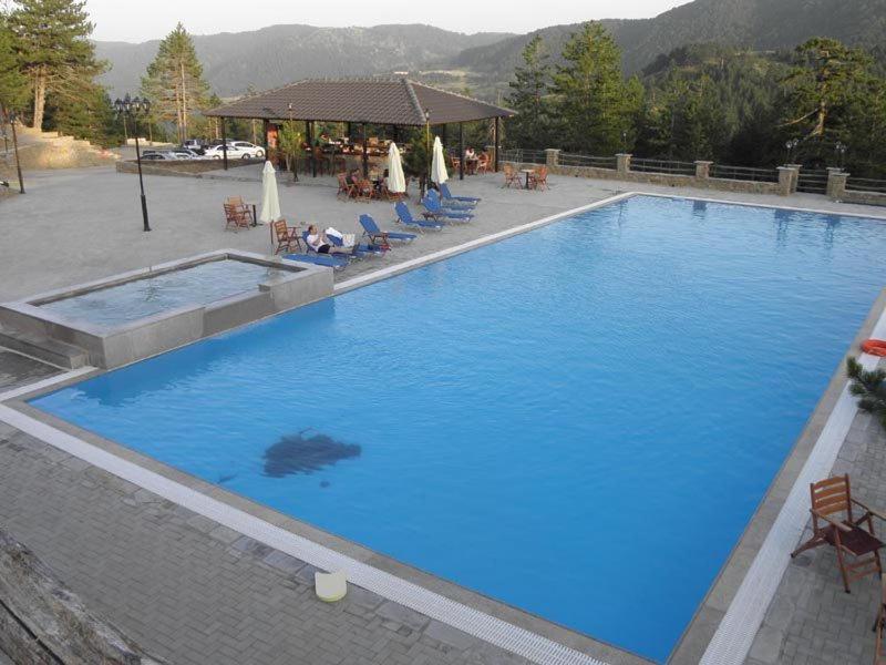 Vasilitsa Spa Resort Grevena Bagian luar foto